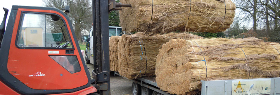 Rietdekkersbedrijf-Van-Drie-en-Vliek_Heftruck-met-riet