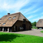 Rieten dak - Boerderij Putten onderhoud