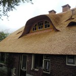 Rieten dak - Boerderij Putten zijkant
