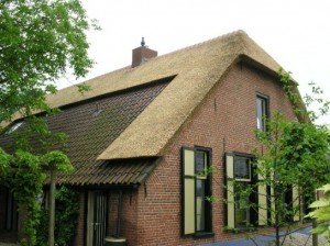 Rieten dak - Boerderij Woudenberg zijkant