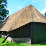 Rieten dak - Schaapskooi Putten