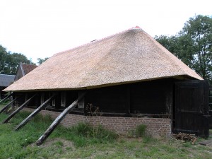 Rieten dak - Schaapskooi Putten