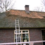 Rieten dak - onderhoud - woonhuis Putten fase 1