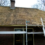 Rieten dak - onderhoud - woonhuis Putten fase 2