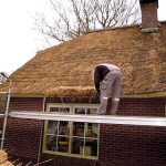 Rieten dak - onderhoud - woonhuis Putten fase 3