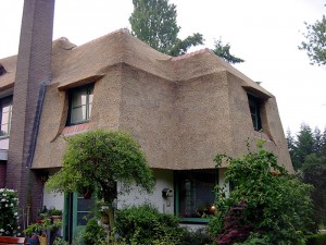 Rieten dak - villa Soest zijkant