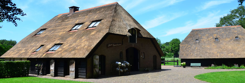 Rietdekkersbedrijf Van Drie en Vliek__Boerderijen onderhoud