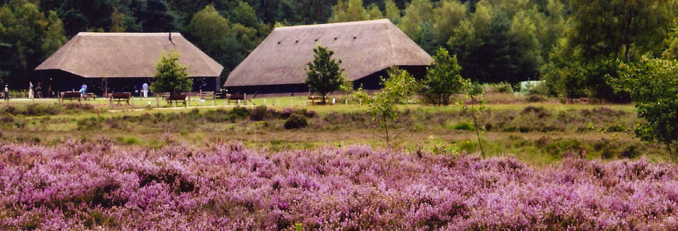 Rietdekkersbedrijf Van Drie en Vliek__Schaapskooi Ermelo